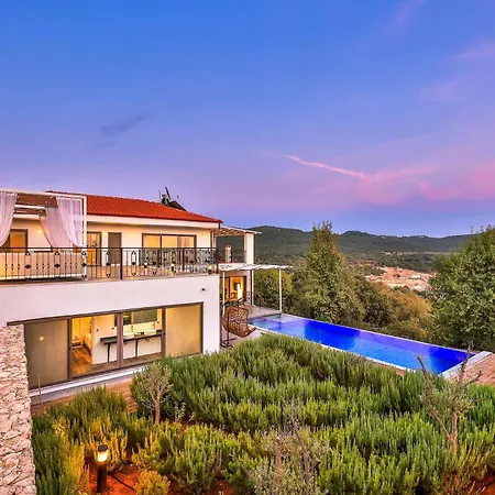 Elit - Villa